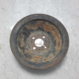 Puleggia pompa idroguida...