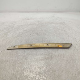 51418265484 barra listello finitura portiera BMW X53 X5 3.0D 306D1 2003 anteriore destro DX