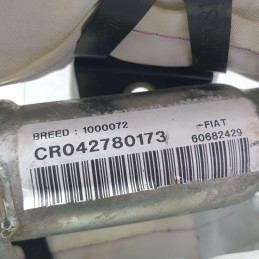 60682429 airbag tetto tendina laterale  Alfa Romeo GT 1.9D 937A5000 2005 destro