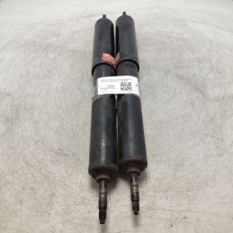 345014 Coppia 2xpz ant...