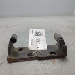 Cerniere portiera  anteriore sinistra SX BMW X53 X5 3.0D 306D1 2003