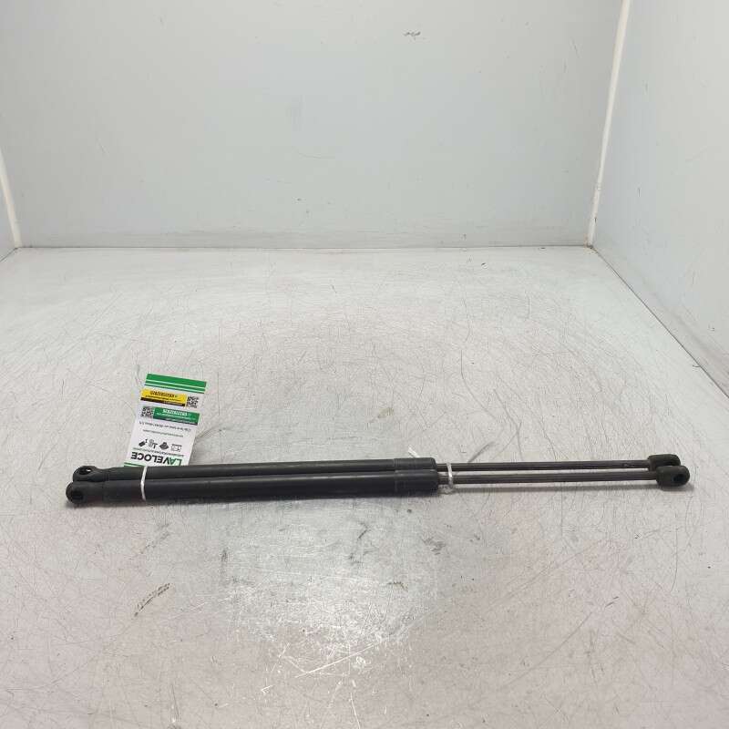 4238RR coppia ammortizzatori pistoncini sollevamento cofano motore VW Touareg 2.5 TDI R5 DPF 128 KW 2004 BAC