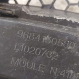 9684150580 Griglia gocciolatoio paraspuzzi protezione tergiparabrezza Citroen C3 1.4HDI 50KW 8H01 2014