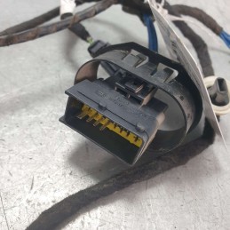 9801479780 Cablaggio impianto elettrico portiera post sx Citroen C3 1.4HDI 50KW 8H01 2014