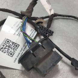 9801479780 Cablaggio impianto elettrico portiera post sx Citroen C3 1.4HDI 50KW 8H01 2014