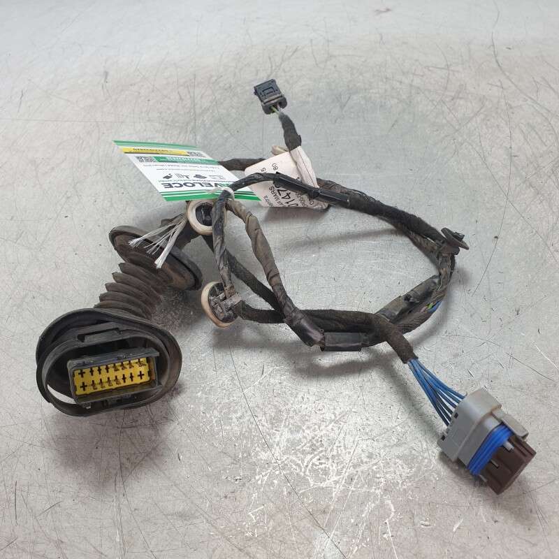 9801479780 Cablaggio impianto elettrico portiera post dx Citroen C3 1.4HDI 50KW 8H01 2014