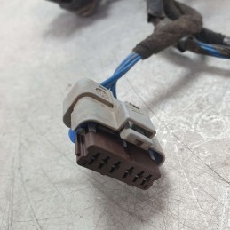 9801479780 Cablaggio impianto elettrico portiera post dx Citroen C3 1.4HDI 50KW 8H01 2014