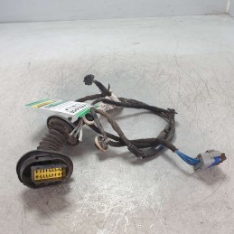 9801479780 Cablaggio impianto elettrico portiera post dx Citroen C3 1.4HDI 50KW 8H01 2014