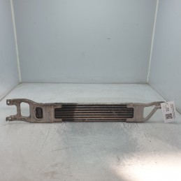 A1695000200 radiatore...