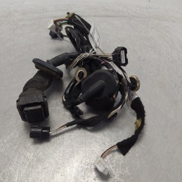 241243042R cablaggio cavi elettrici Renault Clio 1.5 55kw K9KC6 2015 portiera anteriore Dx destra