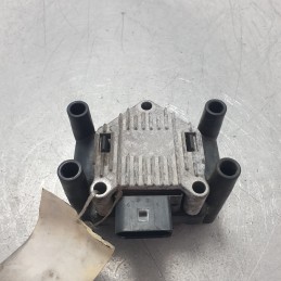 R0101C00100 Bobina accensione Volkswagen Golf IV 1.4 benz 55KW 75CV AXP 2001 032905106F