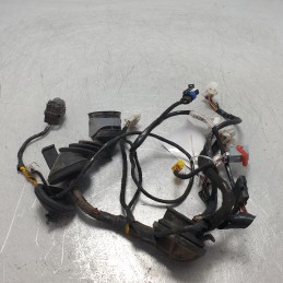 51729388 Cablaggio impianto elettrico portiera ant sx Lancia Ypsilon 843 1.3mtj 2004