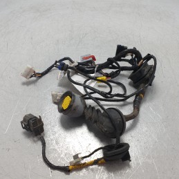51729388 Cablaggio impianto elettrico portiera ant sx Lancia Ypsilon 843 1.3mtj 2004