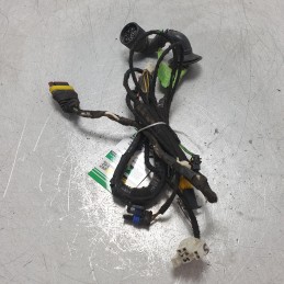 60669285 Cablaggio impianto elettrico portiera post sx Alfa Romeo 166 2.4d 110kw 841C000 2003