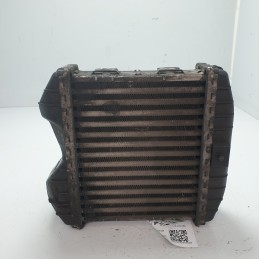 0003007V004 Intercooler...