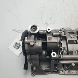 11417810823 pompa vuoto depressore olio BMW F30 Serie 3 2.0 D 135 KW 2012 