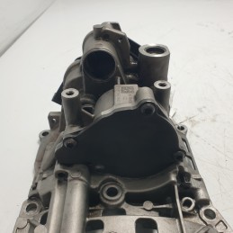 11417810823 pompa vuoto depressore olio BMW F30 Serie 3 2.0 D 135 KW 2012 