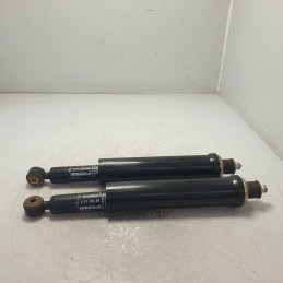 170870 coppia ammortizzatori posteriori Renault R5 LS 1972-84 Eli