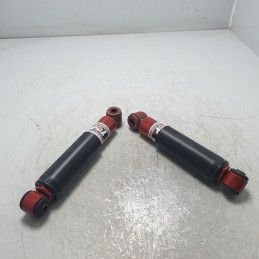 PG016P coppia ammortizzatori posteriori Peugeot 205 1983-99 Top Line