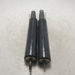 7700145029 coppia ammortizzatori posteriori Renault R9 R11 1981-85 Monroe