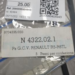 JN248 9704335 033 3XPZ Guarnizione coperchio testa cilindri Renault R5 R6 TL 1961