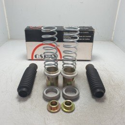 11810 Osrav coppia molle...