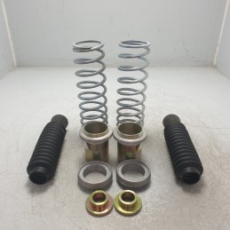 11810 Osrav coppia molle ammortizzatori posteriori Renault R19 R11 R14 R9 R5
