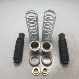 11810 Osrav coppia molle ammortizzatori posteriori Renault R19 R11 R14 R9 R5