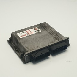CENTRALINA ECU MODULO CONTROLLO GPL IMPIANTO A GAS BRC 67R011002 110R001001