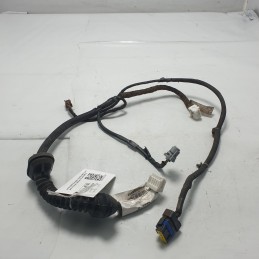 24127JD00D Cablaggio impianto elettrico porta post dx Nissan Qashqai J10 JJ10 2007-14