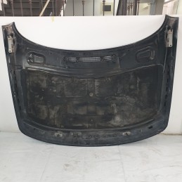 BKA760010 cofano motore anteriore Range Rover L322 3.6 TD V8 2010 trasparente sbiadito
