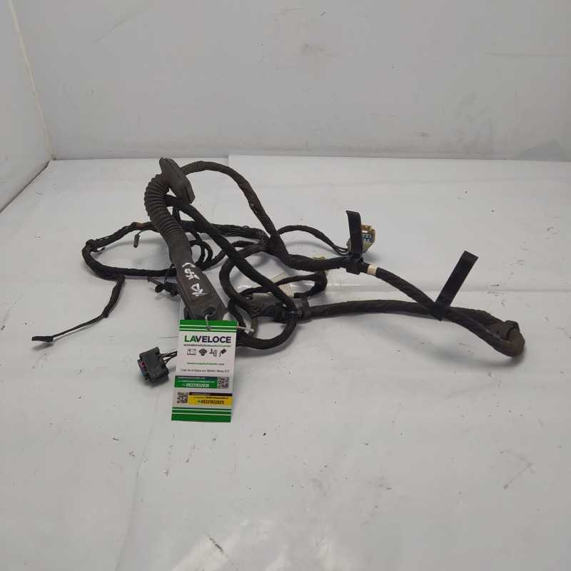 AH4214027ACA Cablaggio impianto elettrico porta post dx Range Rover L322 3.6 TD V8 2010 automat.