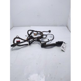 AH4214027ZAA Cablaggio impianto elettrico porta post sx Range Rover L322 3.6 TD V8 2010 automat.