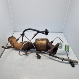 WCD502410 catalizzatore FAP...