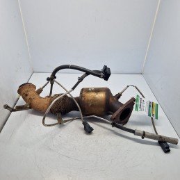 WCD502410 catalizzatore FAP...