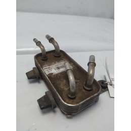 F8741004 Scambiatore radiatore carburante Range Rover L322 3.6 TD V8 2010 automat.