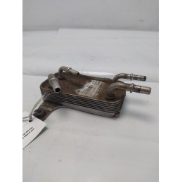F8741004 Scambiatore...