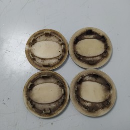  serie coppette coprimozzi x4 Land Rover vari modelli 62mm 