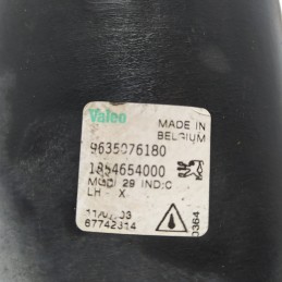 9635076180 faretto fendinebbia ant SX Peugeot 206 MK1 2A/C 1998-09 Valeo