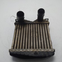 0003007V003 radiatore...