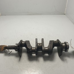 4137307 albero motore a...