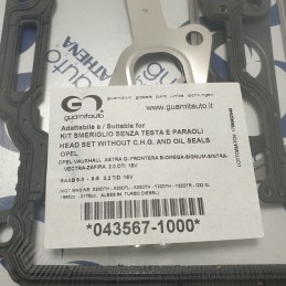 043567-1000 Guarnizione smeriglio senza testa e paraoli Opel Astra G Frontera B Omega Vectra Zafira 2.0 dti 16v Saab