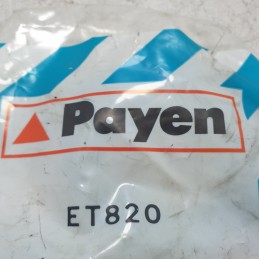 PAYEN ET820 Guarnizioni monoblocco Opel Kadett B C D E Corsa A Manta A B Ascona A B 1965-73