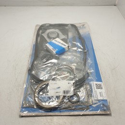 01-36885-01 Guarnizioni motore REINZ Citroen Jumper II Fiat Ducato III 160 mtj 3.0 d 2006 250 290 Peugeot Boxer 250