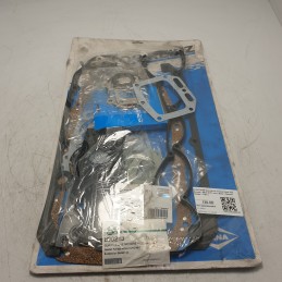 01-31733-09 Guarnizioni motore Reinz Fiat Ducato I 290 2.5 TD  Iveco Daily II Renault Master I Trafic I