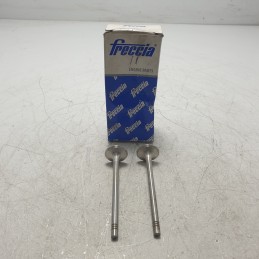 R6014/BM x2 pezzi valvole...