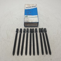 481820 viti testata...