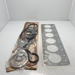 01-51620-01 REINZ Guarnizioni motore Fiat 645N1 650 N1 4.7 101CV 1968 MOT 806A.510 662N1 -P