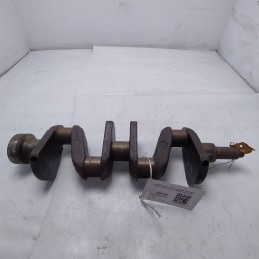 4015880 albero motore a...