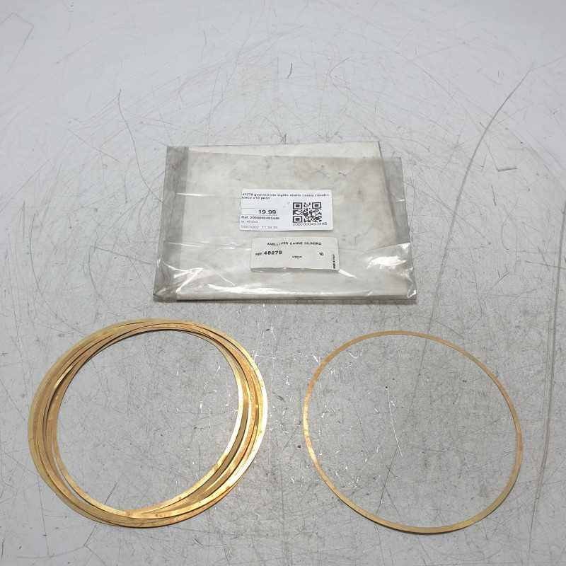 48279 guarnizione sigillo anello canna cilindro Iveco x10 pezzi